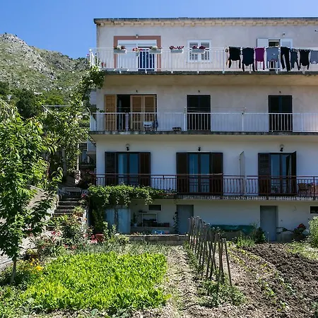 Apartment Apartmani Kate, Plat Mlini