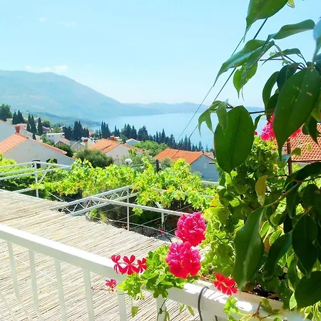 Apartmán Kate, Plat *
