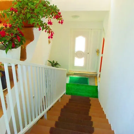 Apartmani Kate, Plat Apartment *