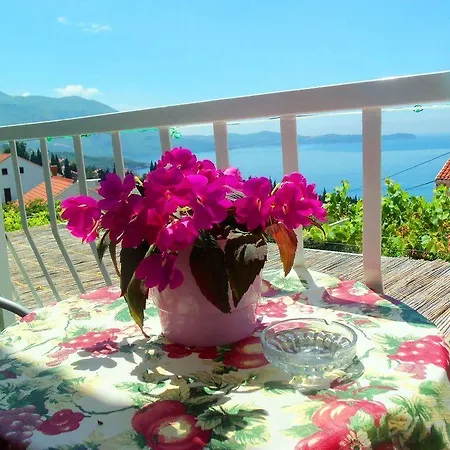 Lägenhet Kate, Plat